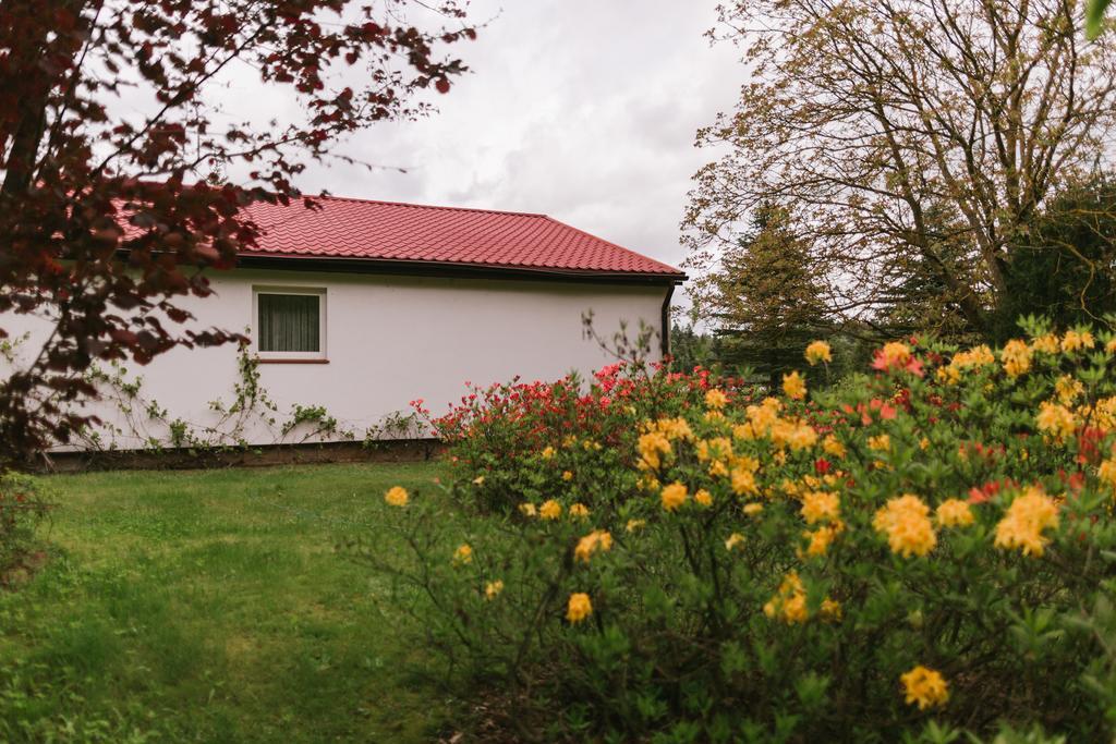 Bobrowa Dolina Bed & Breakfast Ryn  Luaran gambar